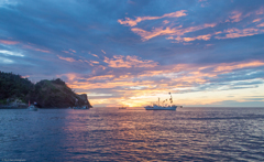 夕日に照らされて