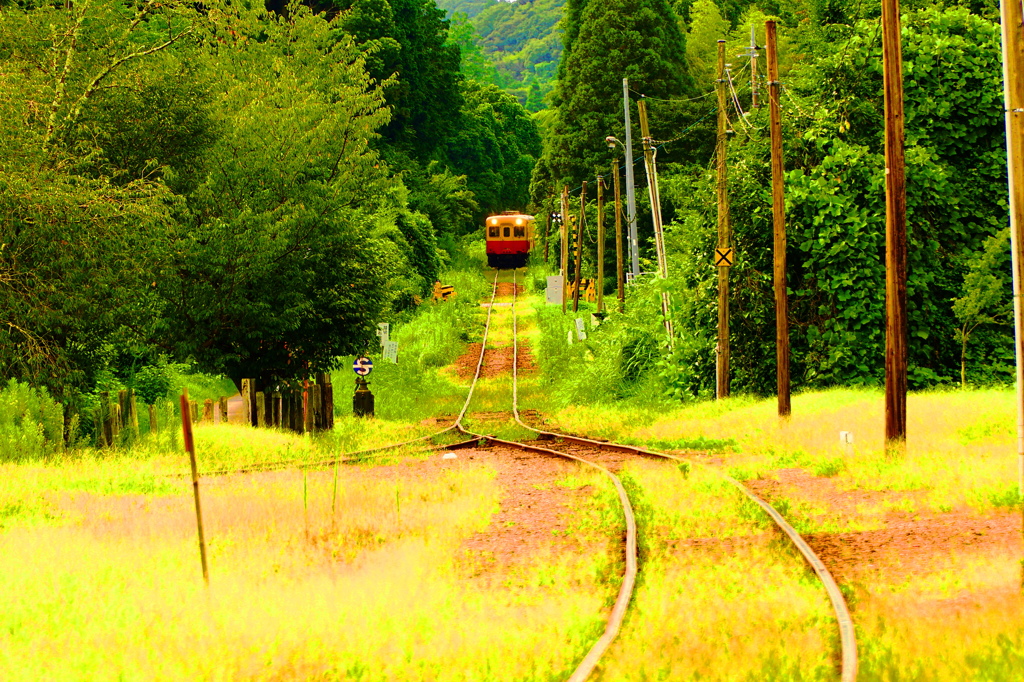 小湊鉄道 in 上総中野駅から２