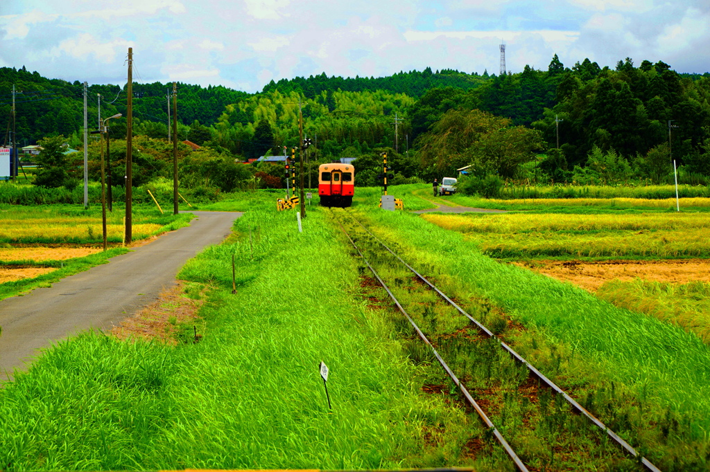 小湊鉄道 in 上総川間駅フォームから