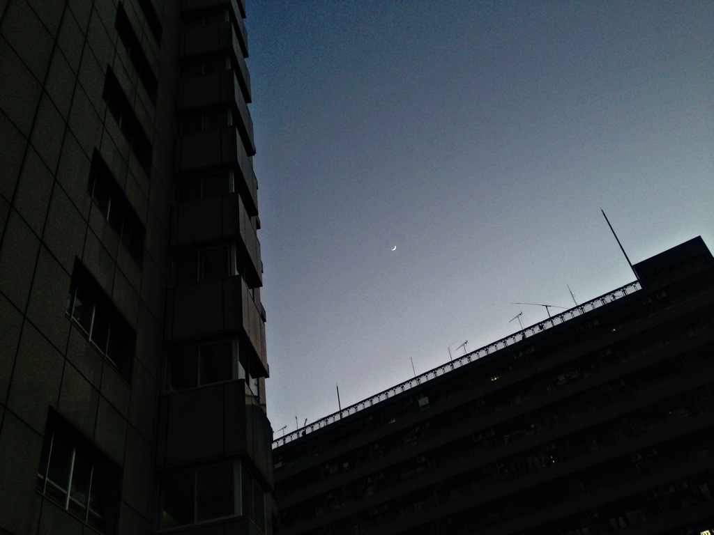 遠い月