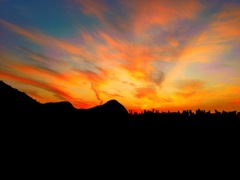 夕暮れ