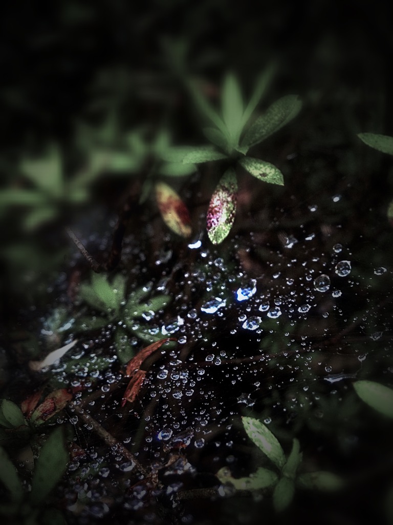 水滴