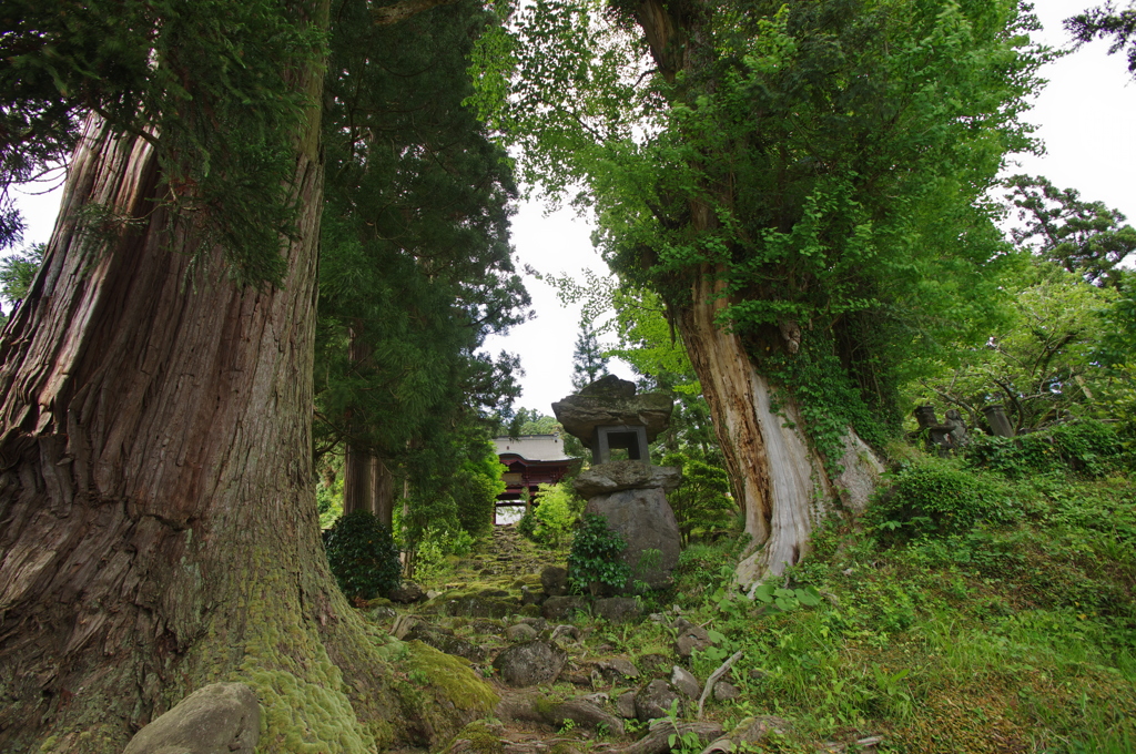 永泉寺2