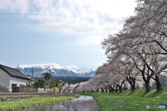 2025.4.17_中山河川公園1
