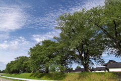少し涼しくなってきた中山河川公園