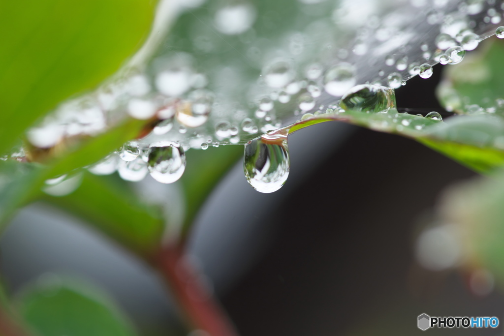 雨の日の暇つぶし1