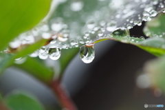 雨の日の暇つぶし1