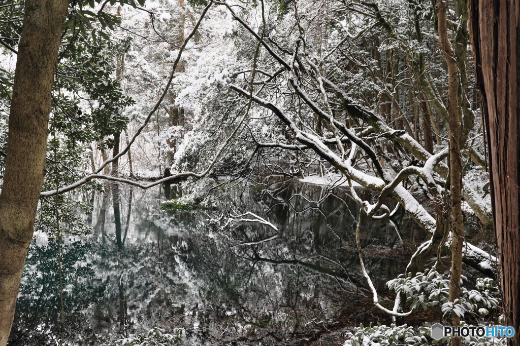 大雪注意報の丸池1