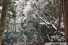 大雪注意報の丸池1