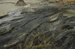 砂浜から湧き出す伏流水3