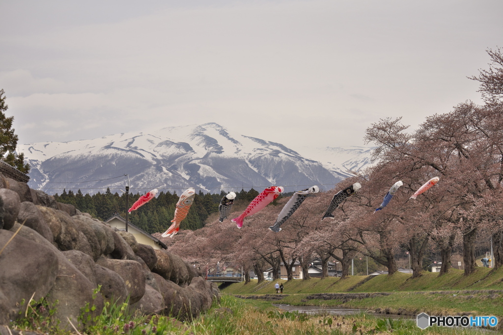 2023.4.5_中山河川公園6