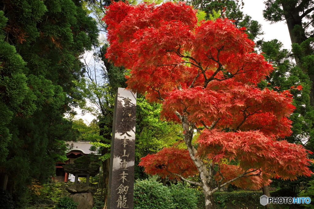 永泉寺前の紅葉1