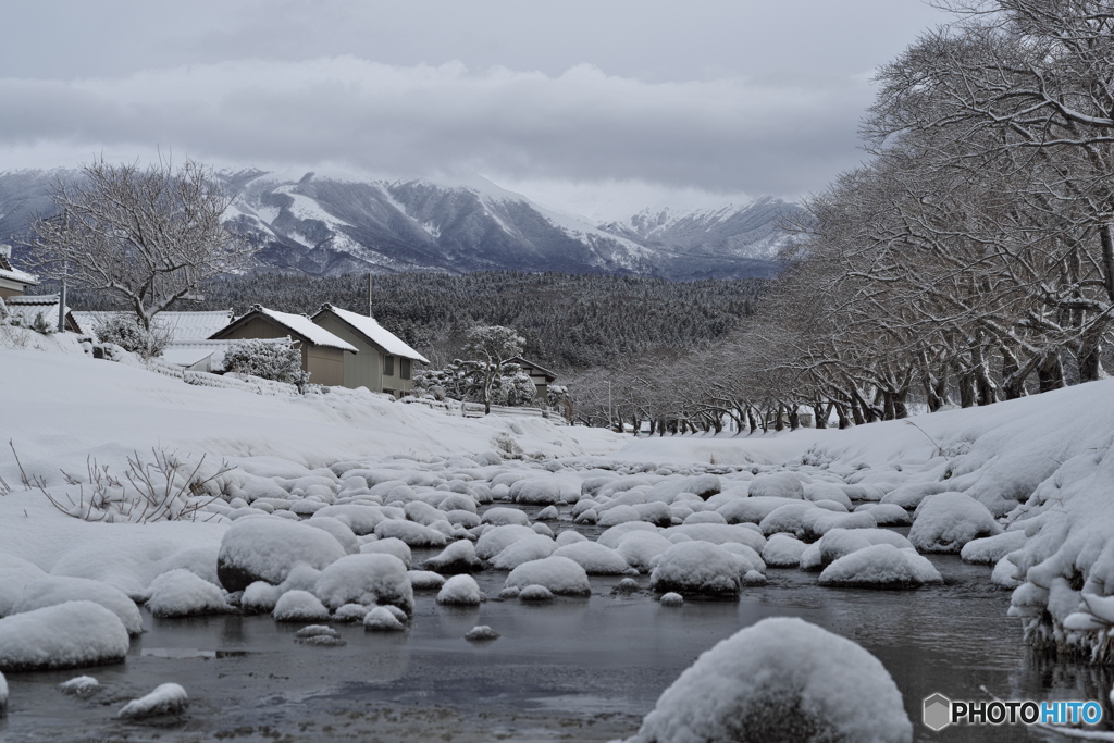 もう雪はたくさんです1