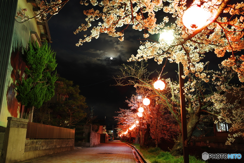 スーパームーンと夜桜1