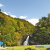 カメムシだらけの法体の滝