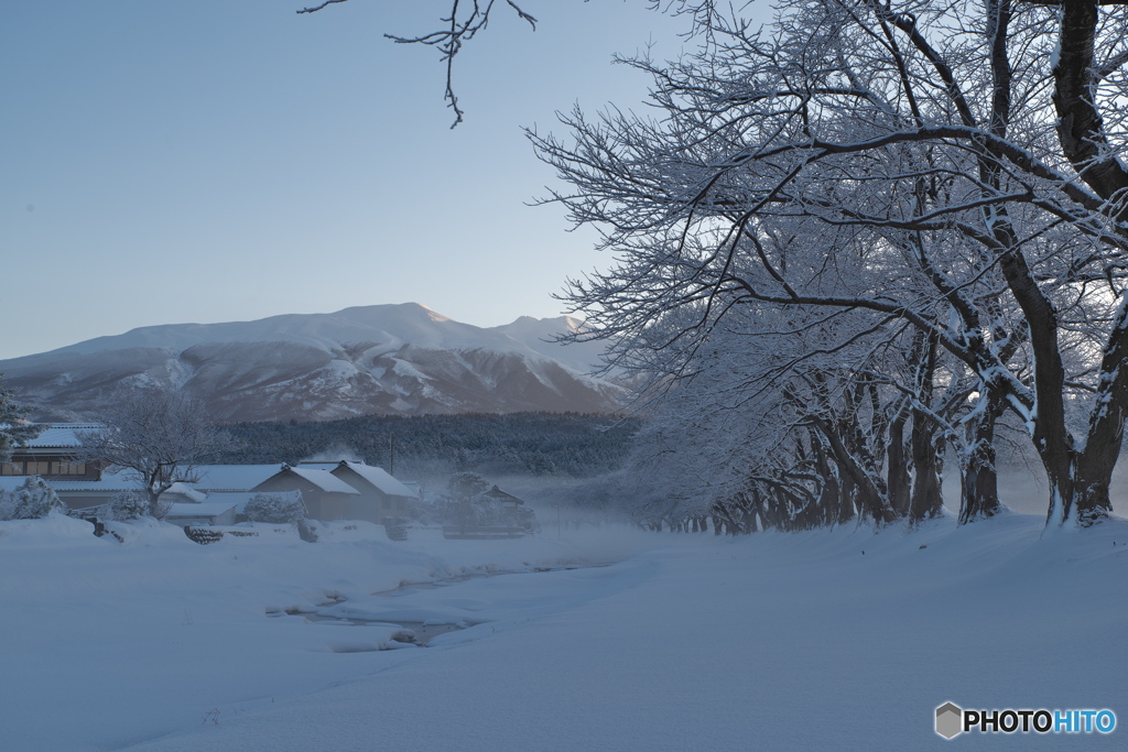 夜勤明けの中山河川公園_2023.1.30