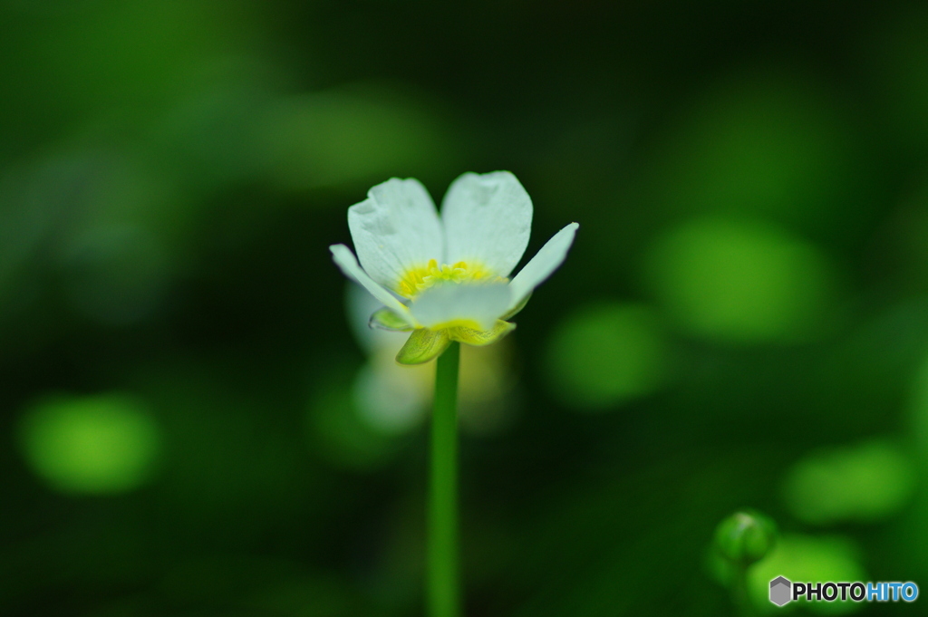 侮っていました、牛渡川1