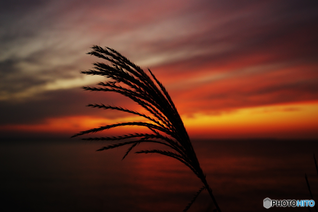 9.22_夕方2