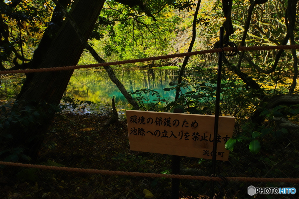 環境保護