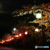 スーパームーンと夜桜2