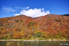 紅葉の白糸の滝_最上川