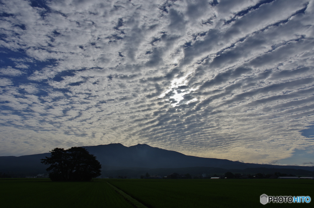 夜勤明けの・・・うろこ雲
