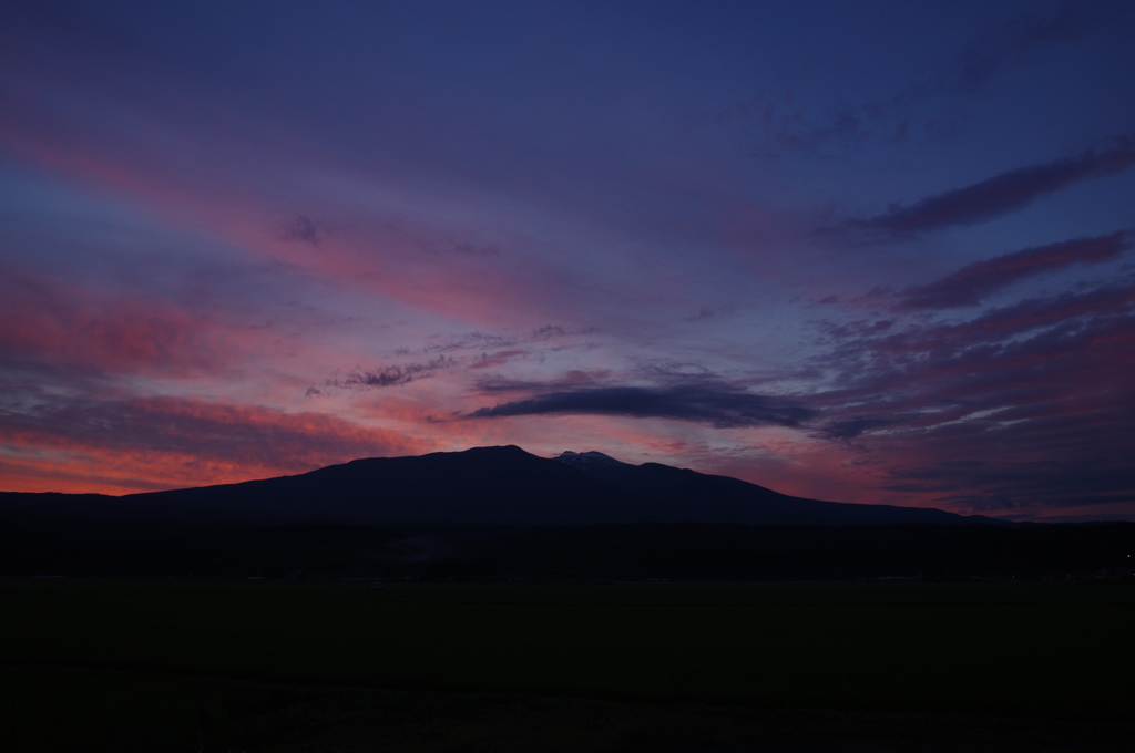 七夕ですが・・・