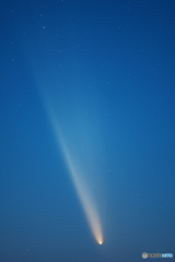 2024.10.13紫金山・アトラス彗星2