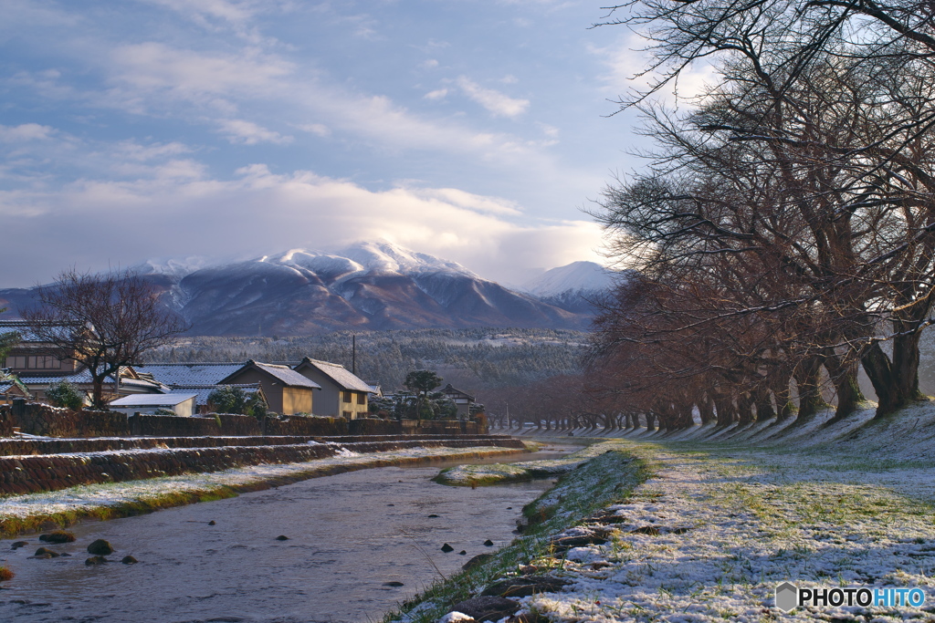 中山河川公園_R3.12.24