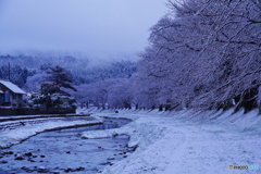 夜勤明けの・・・中山河川公園1
