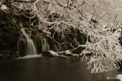 雪の元滝1