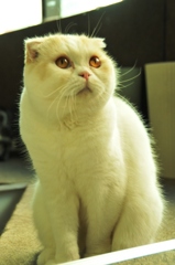 ん？