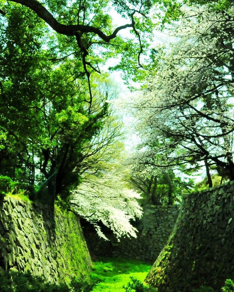 お堀の一角