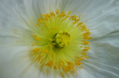 DSC01350