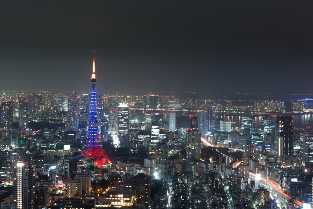 Tokyo Night View