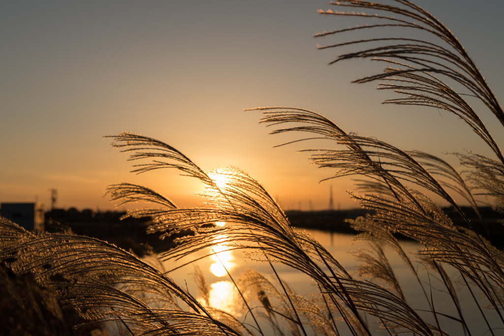 試写（夕日）