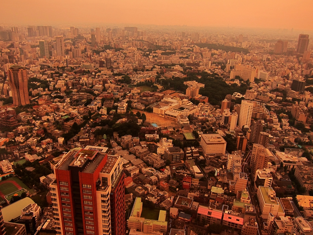 Tokyo