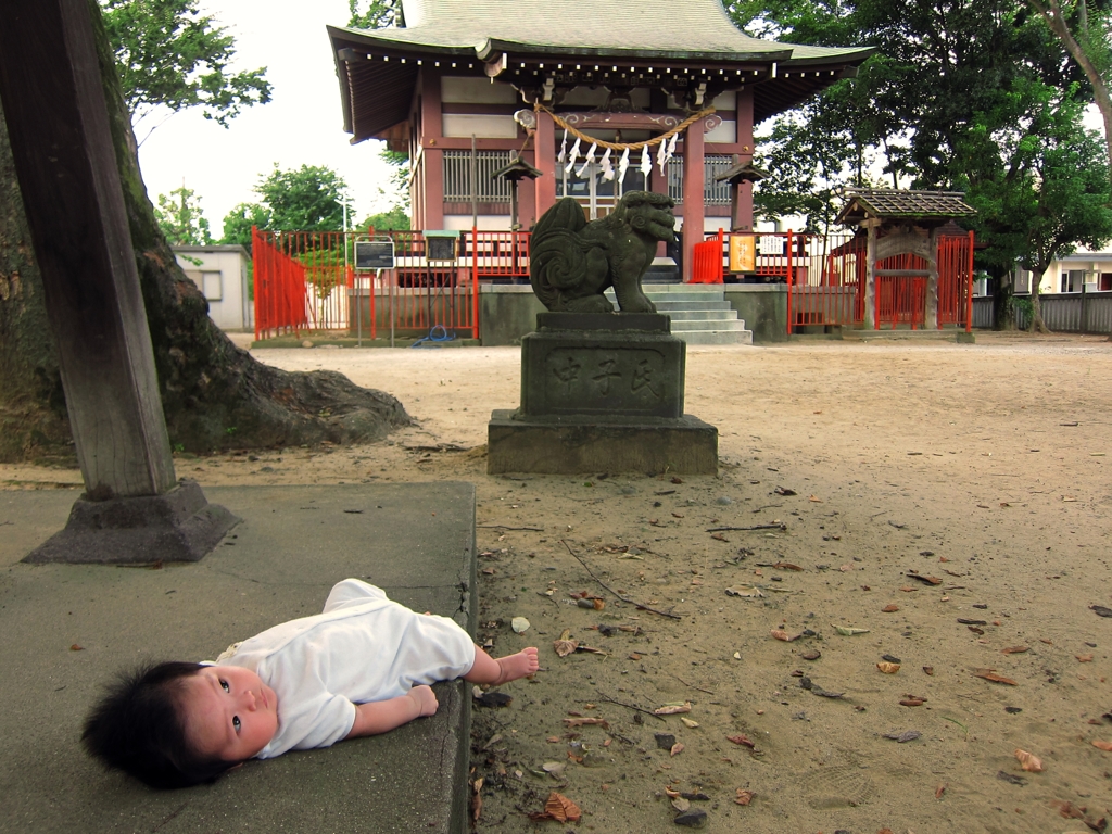 青渭神社