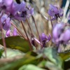 DSC_6469