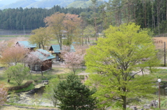 いぶき