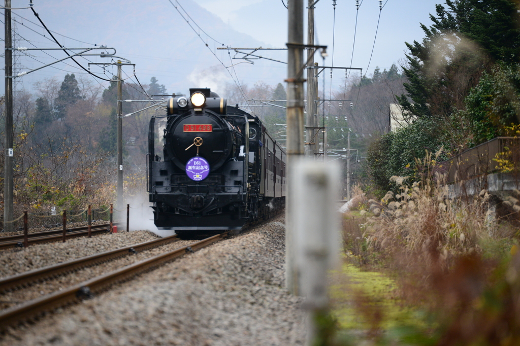D51