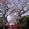 南信州の桜③