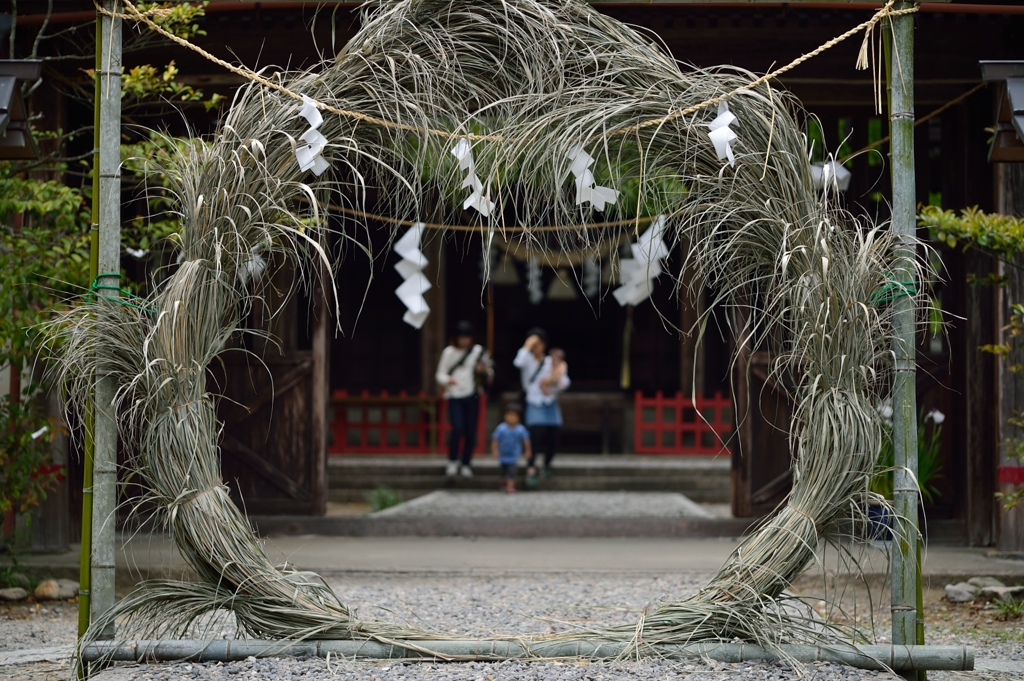 賀茂神社③