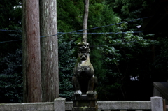 狛犬