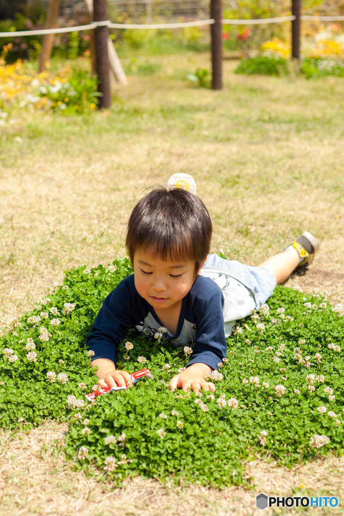 春草に寝転んで