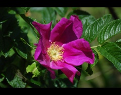 DSC_3192.2014.5.1