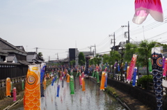鯉のぼり＠栃木