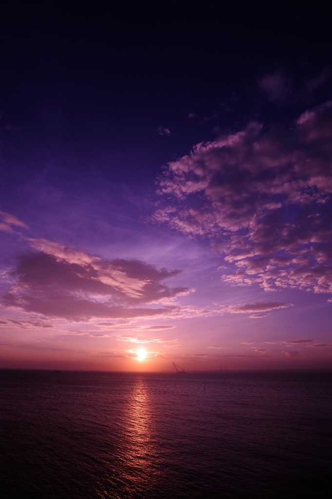 Dramatic"Umi-Hotaru" No.8 Purple morning