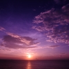 Dramatic"Umi-Hotaru" No.8 Purple morning