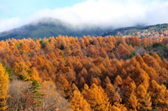 山　燃える